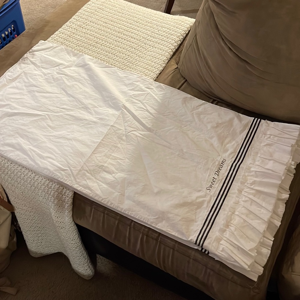Pottery Barn Pillow Cases (2)
